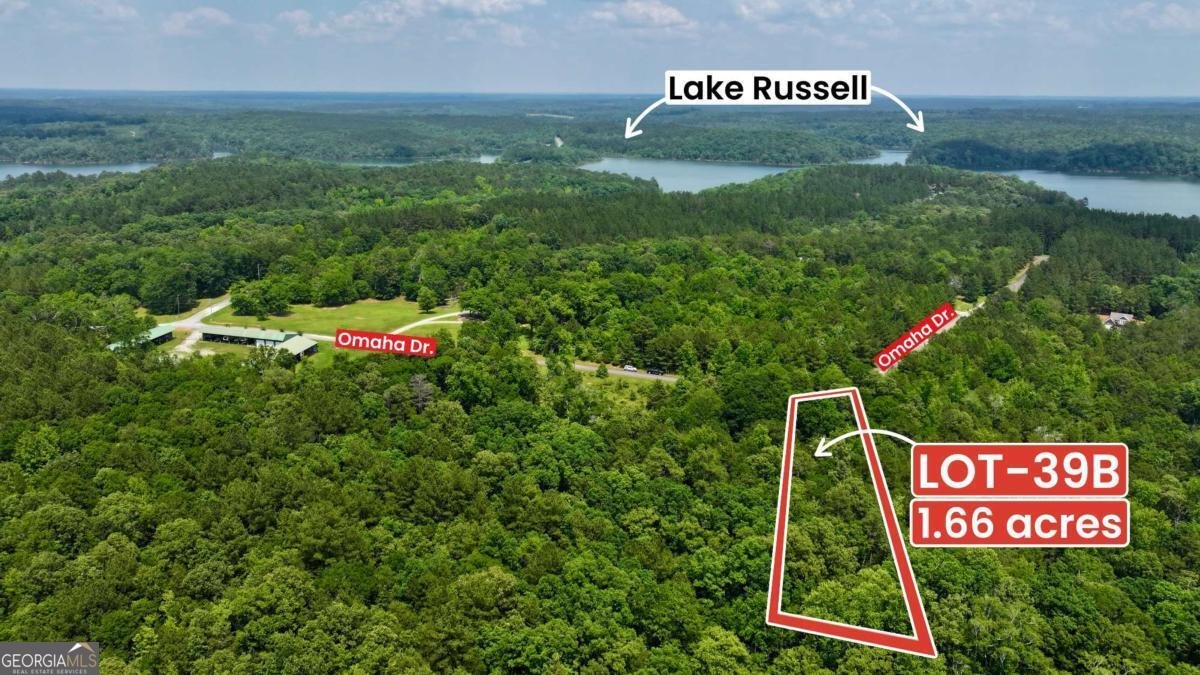 39B OMAHA Drive Elberton - 6