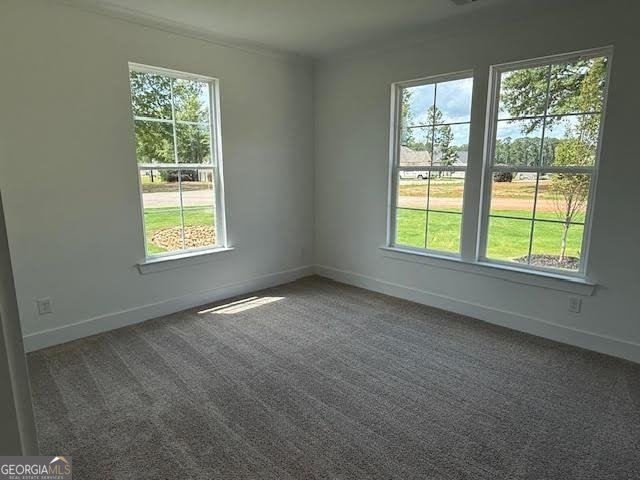 1511 Lake Drive Greensboro - 5