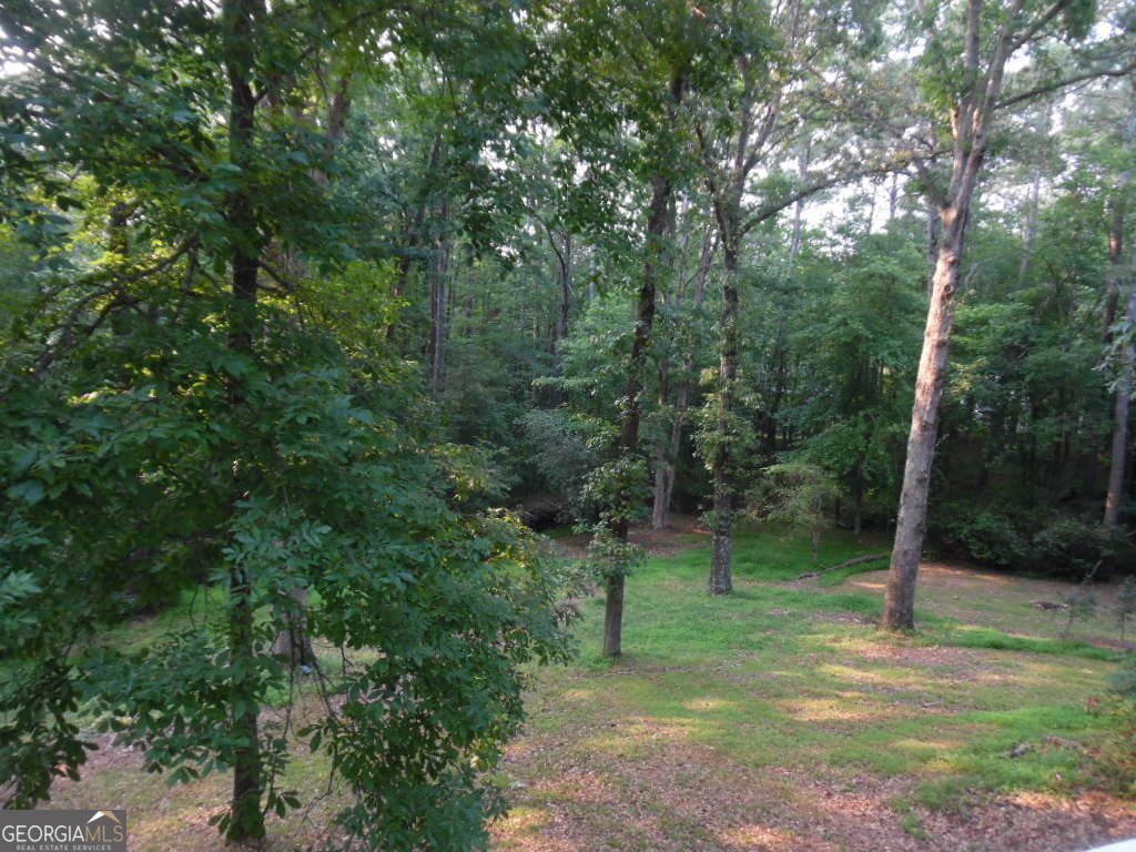 1205 PEBBLE BEND DR GRAYSON - 14