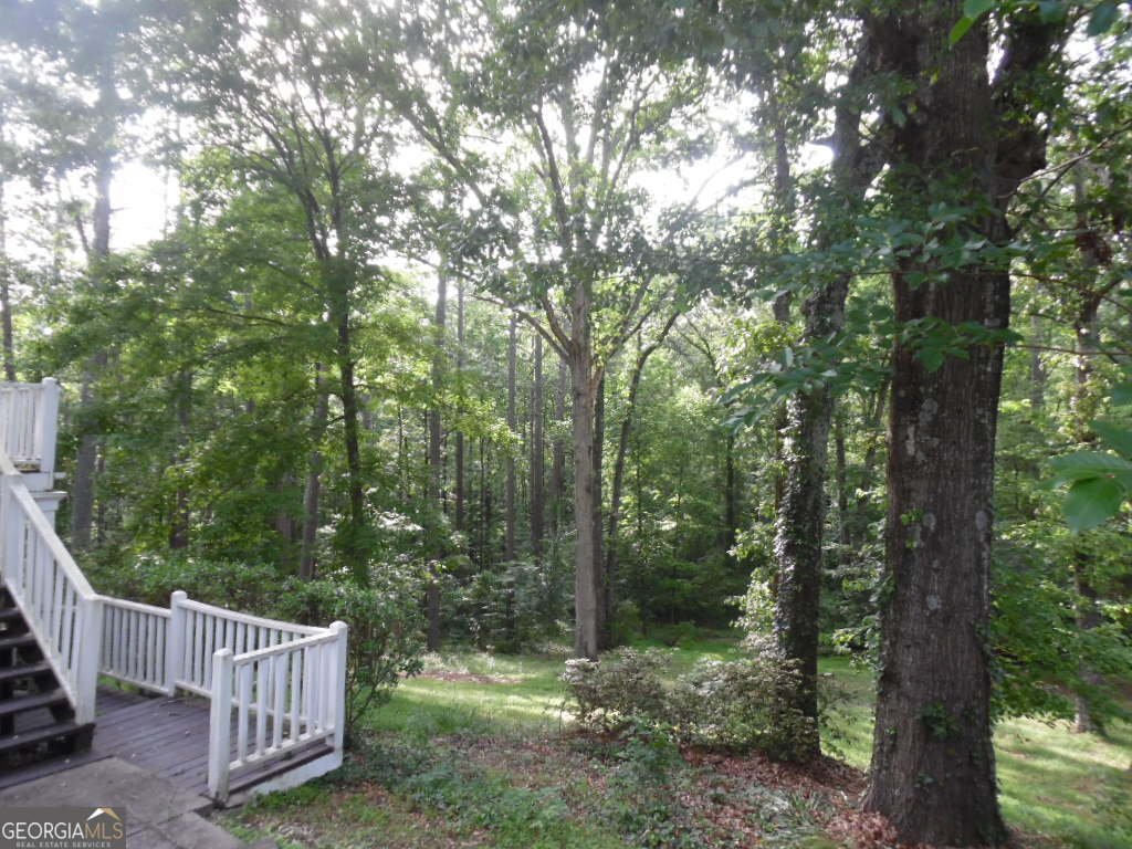 1205 PEBBLE BEND DR GRAYSON - 21