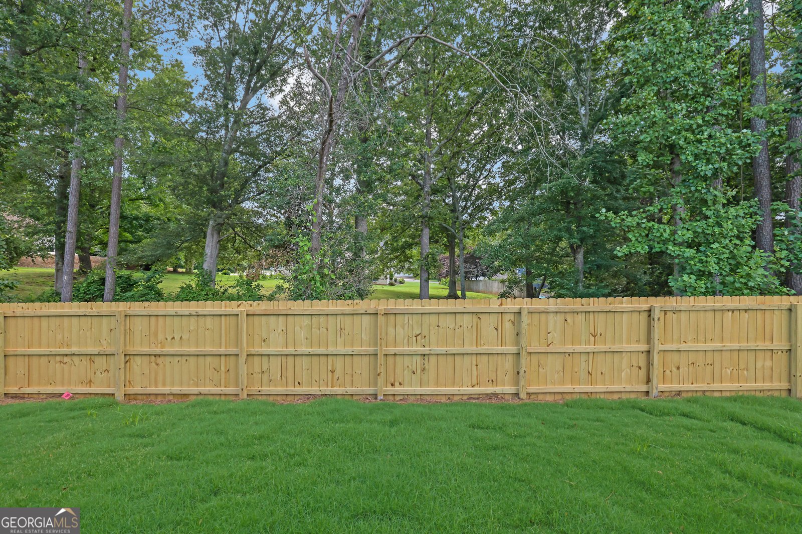 153 Alaina Road Holly Springs - 20
