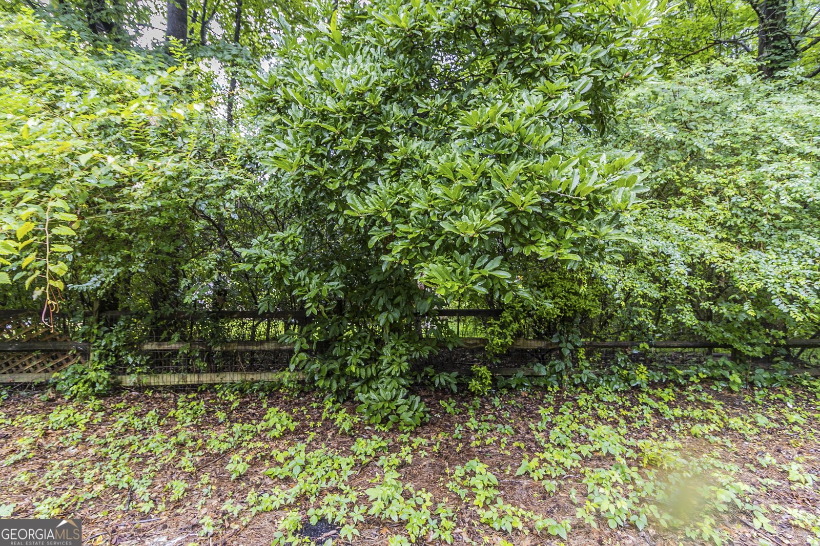 10 Mariner Way Acworth - 20