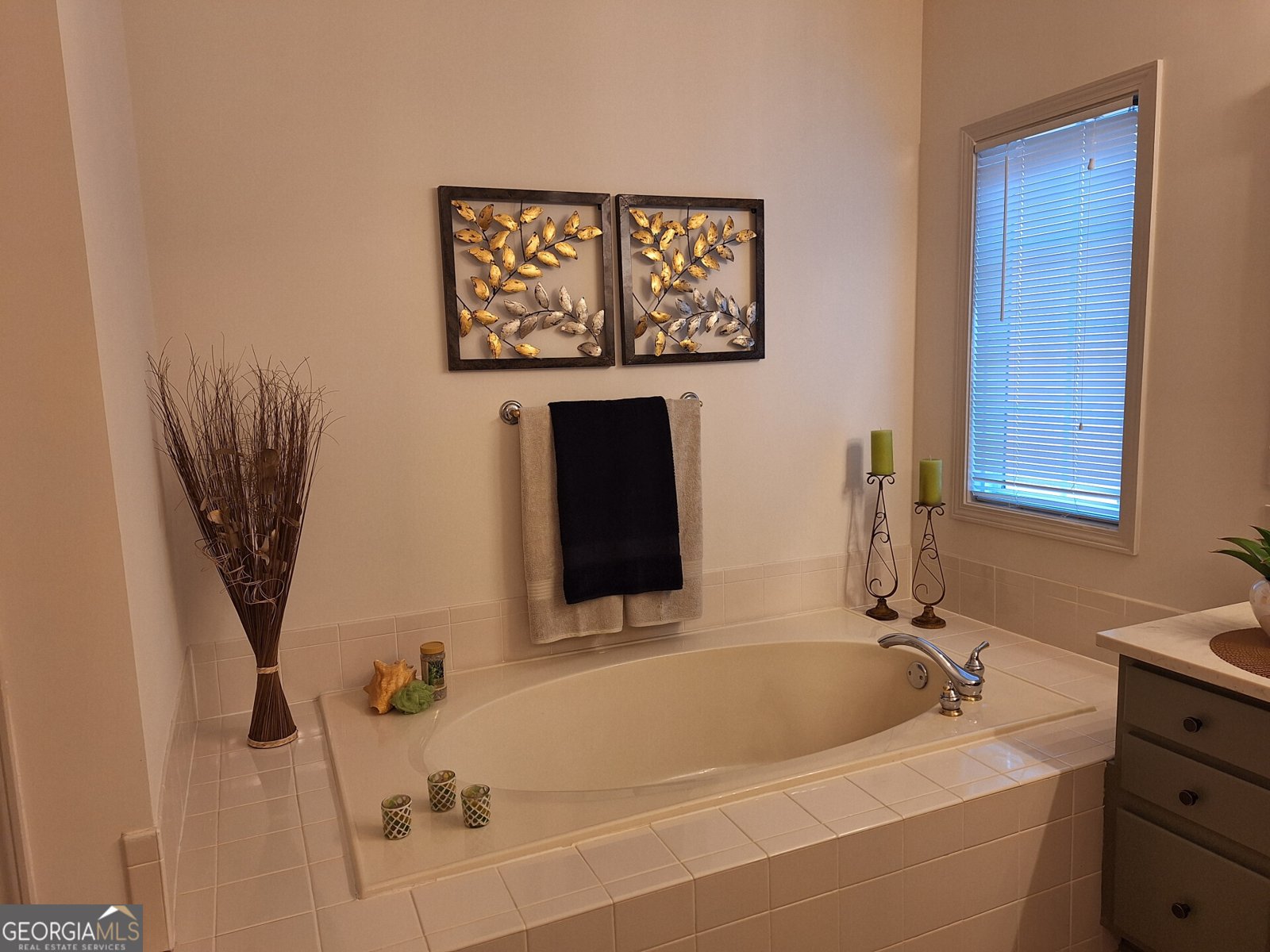 522 Blue Mountain Rise Canton - 22