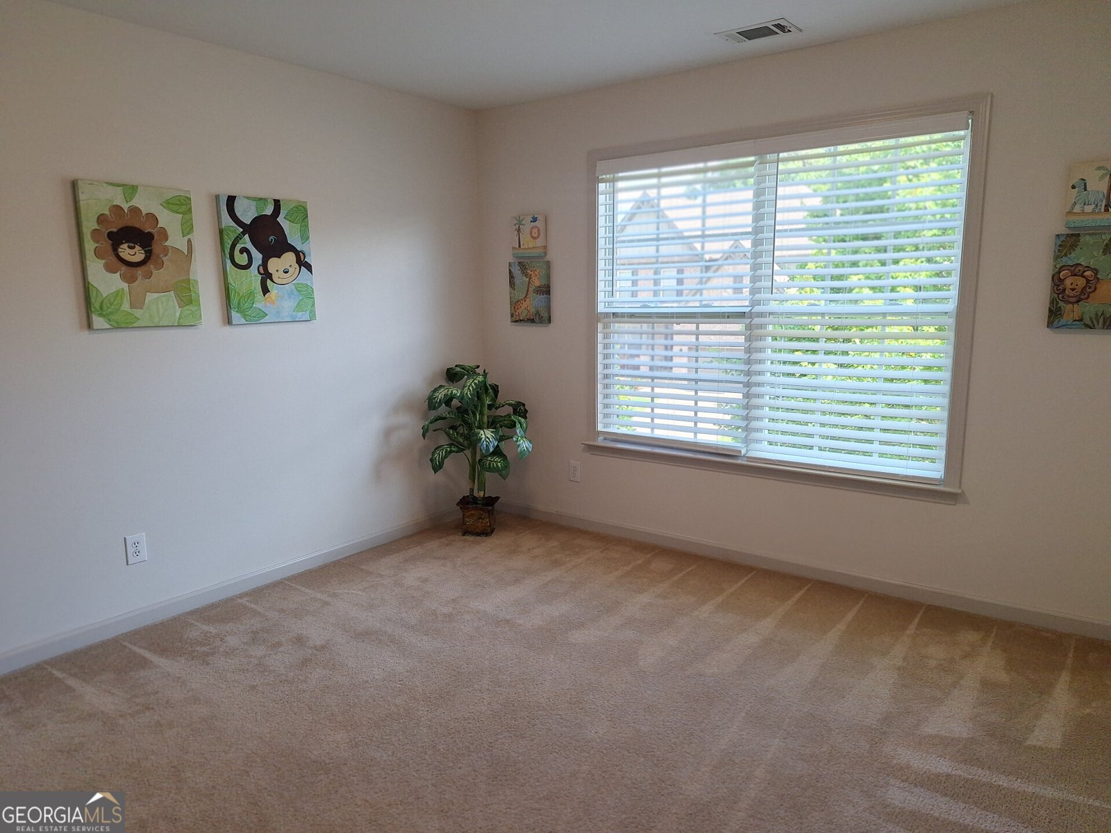 522 Blue Mountain Rise Canton - 36