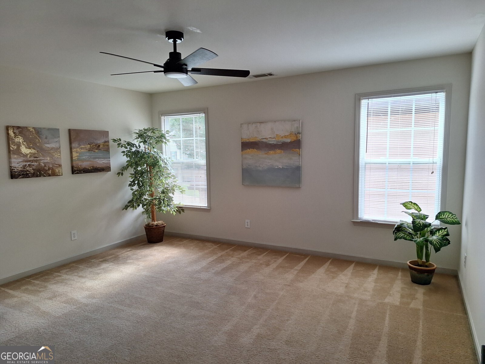 522 Blue Mountain Rise Canton - 39
