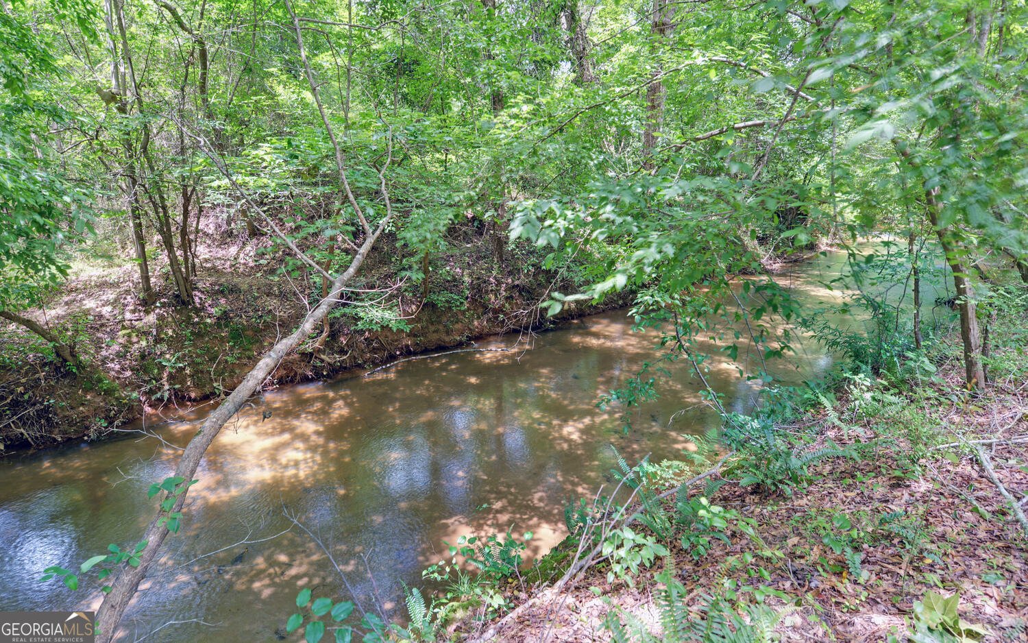 1330 McCannon Morris Road Hull - Photo 56