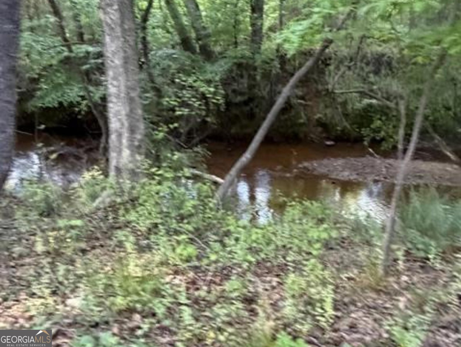 1330 McCannon Morris Road Hull - Photo 62