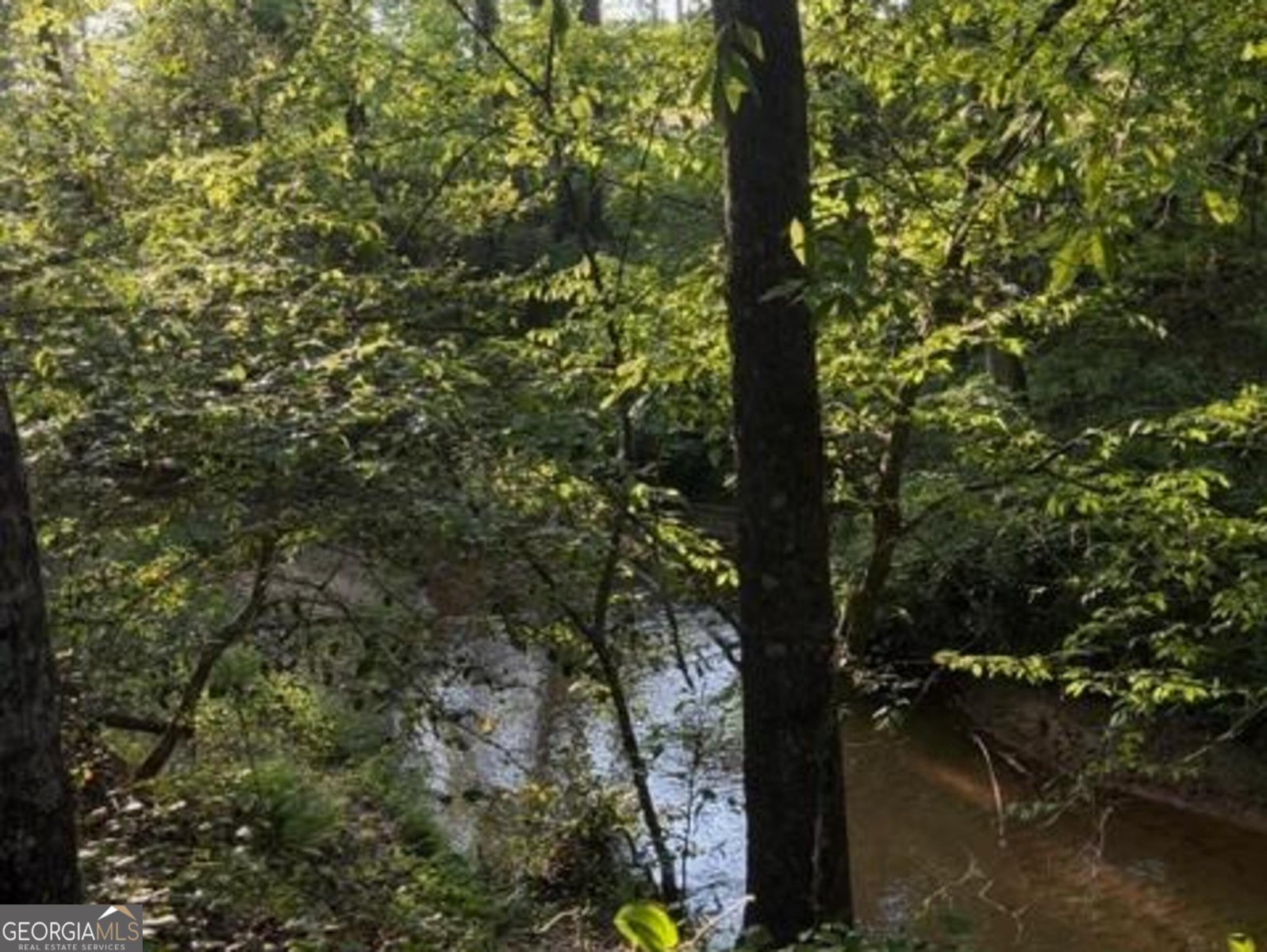 1330 McCannon Morris Road Hull - Photo 66