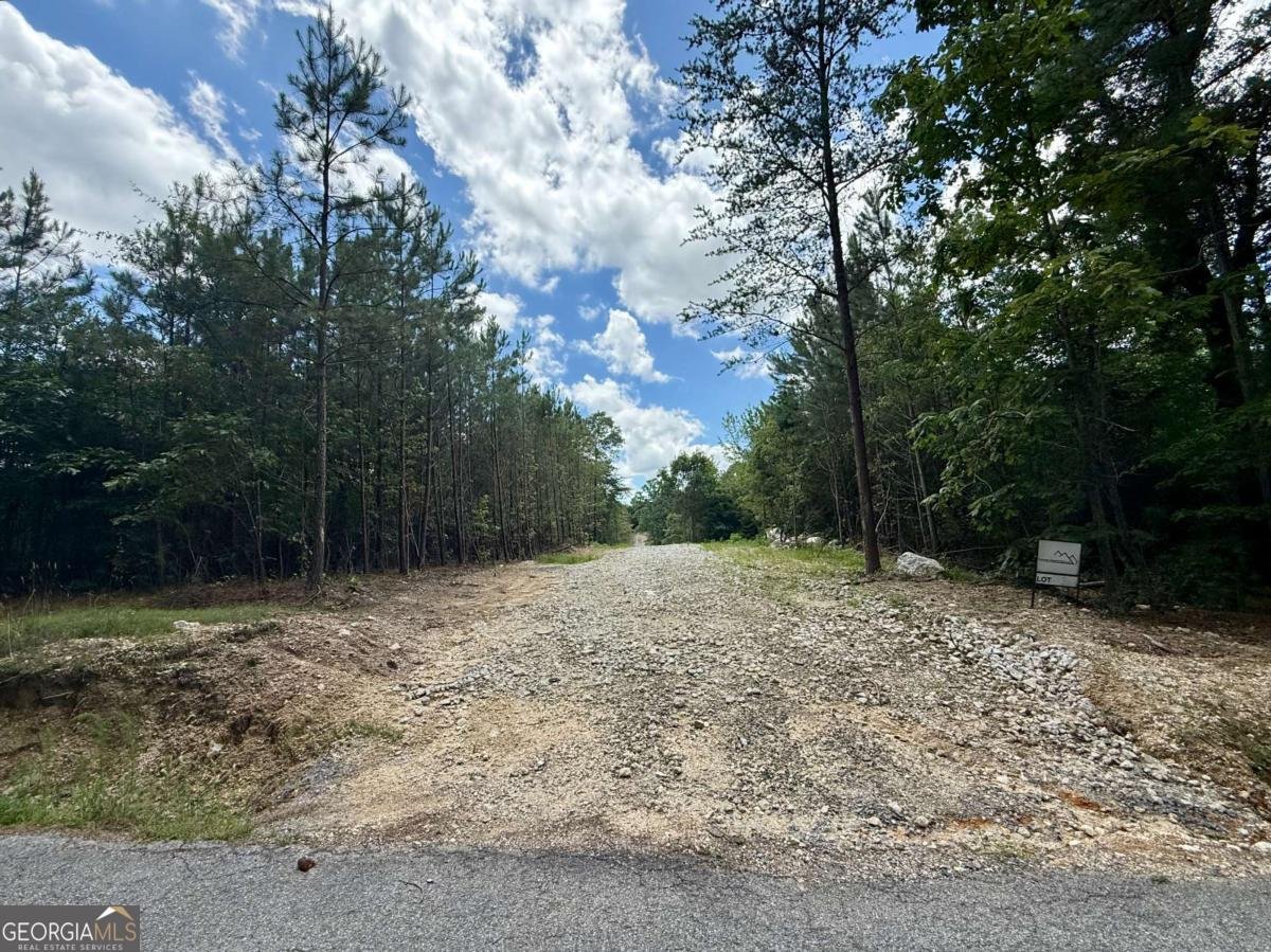 TRACT1 Kelly Road Cedartown - 5