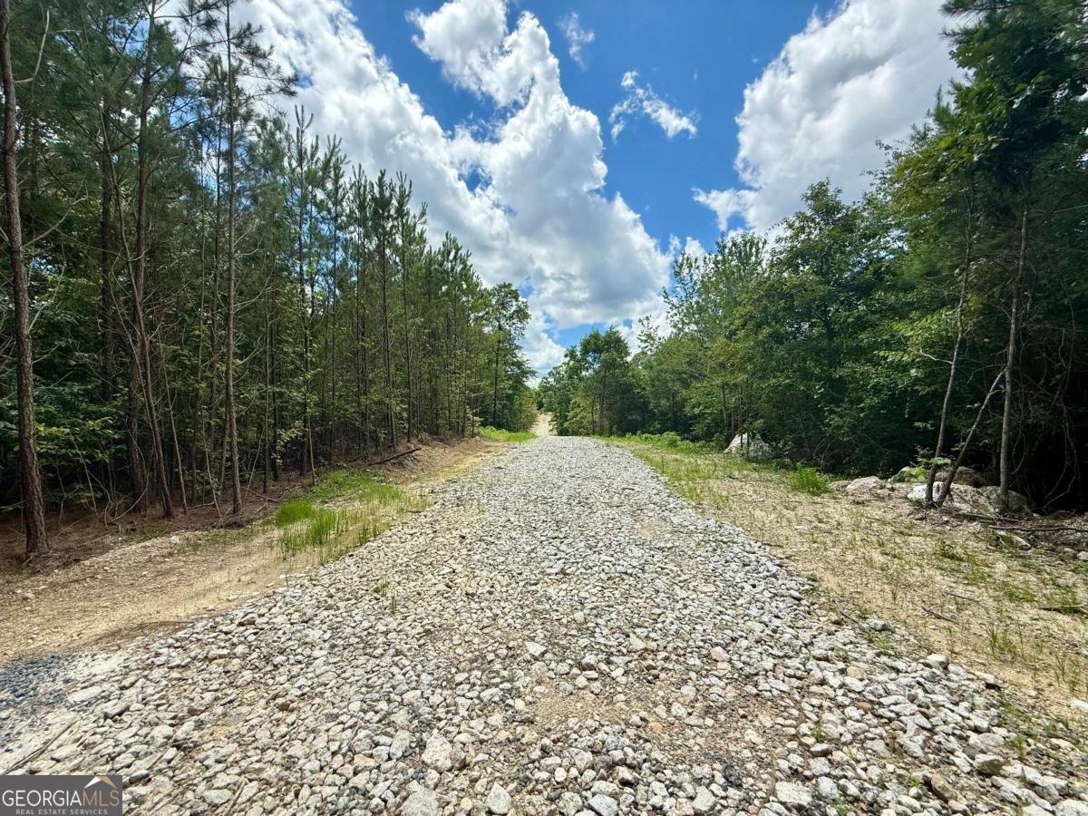 TRACT1 Kelly Road Cedartown - 6