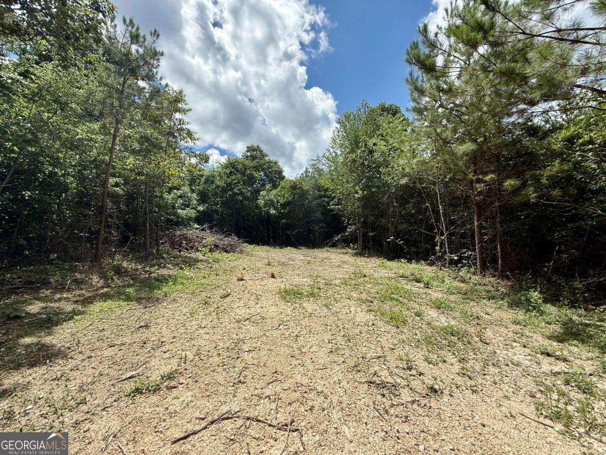 TRACT1 Kelly Road Cedartown - 7