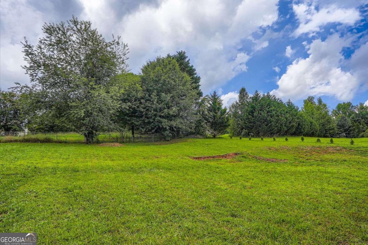 520 White Pines Drive Dallas - 18