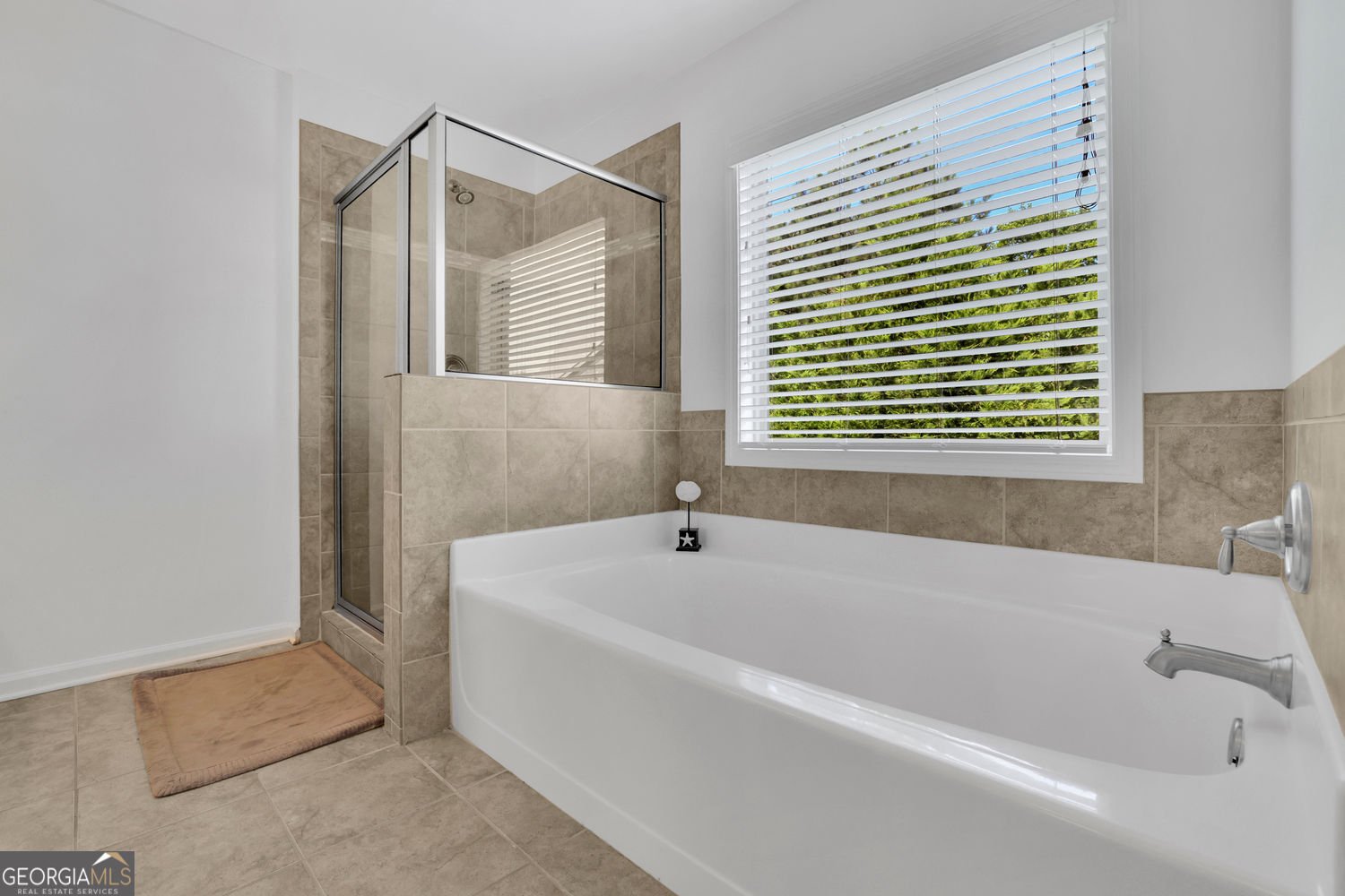 425 Eldridge Drive Suwanee - 22