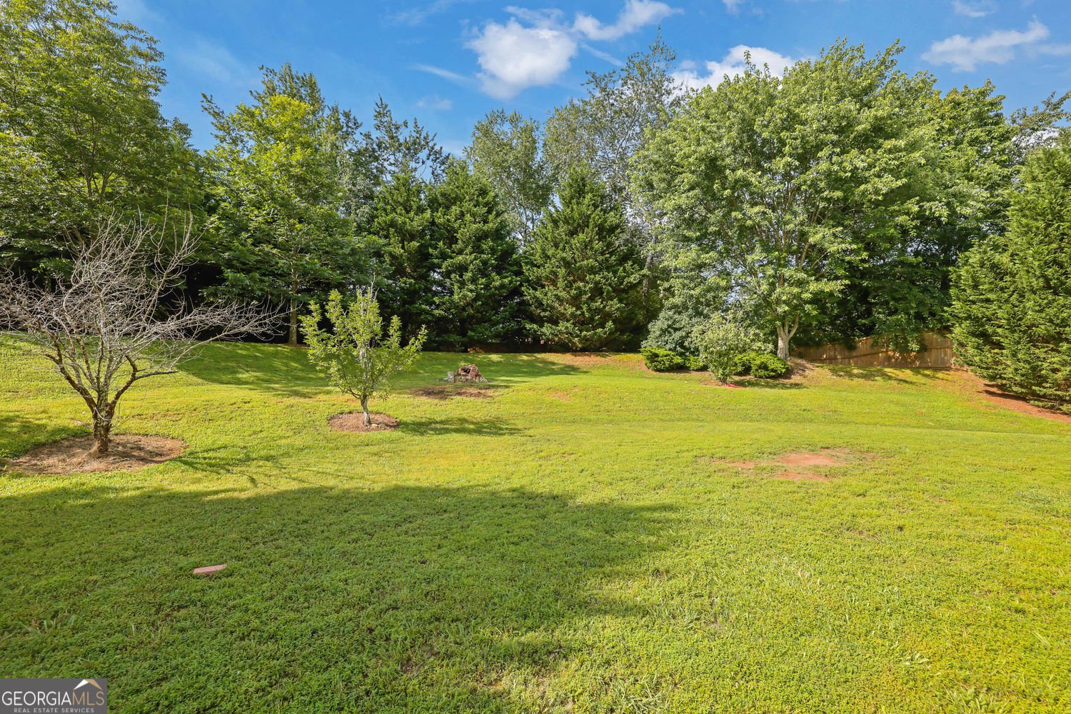 425 Eldridge Drive Suwanee - 24