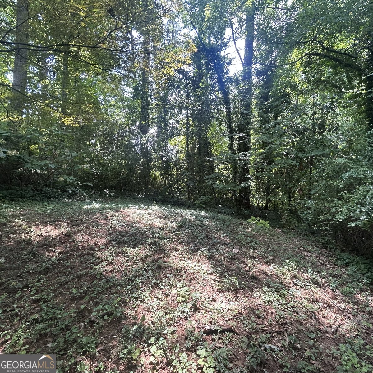 1164 Rogeretta Drive Atlanta - 13