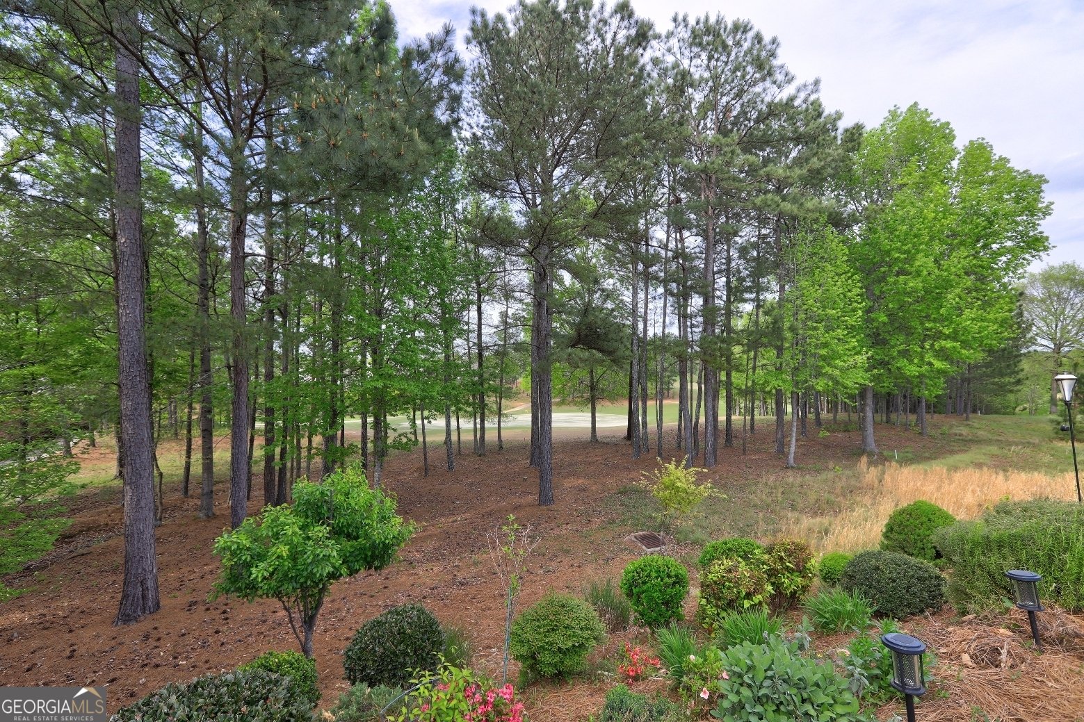 802 Dusky Sap Court Griffin - 18