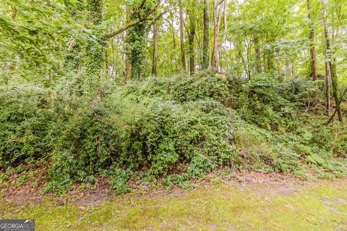 482 Tarragon Way Atlanta - 26