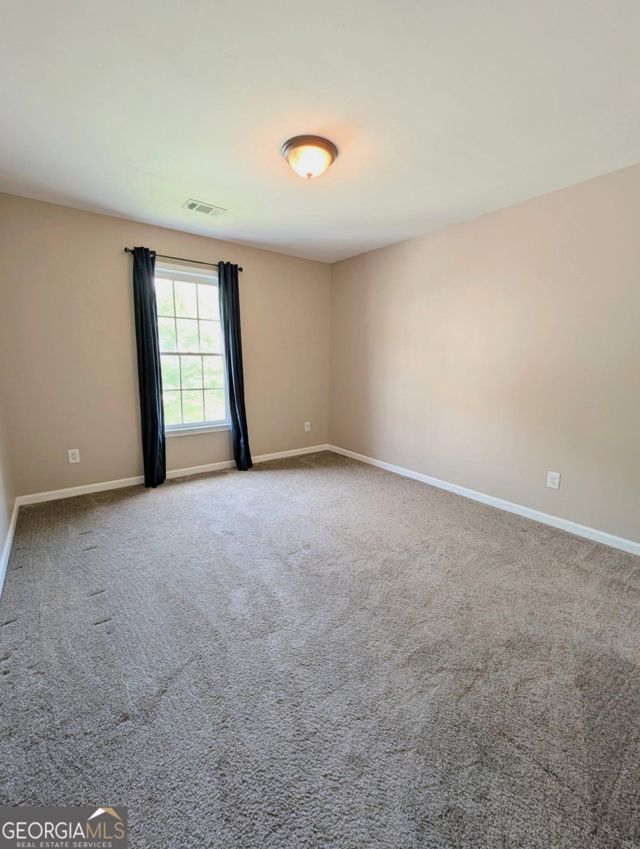 1581 Shetland Pony Court Suwanee - 16