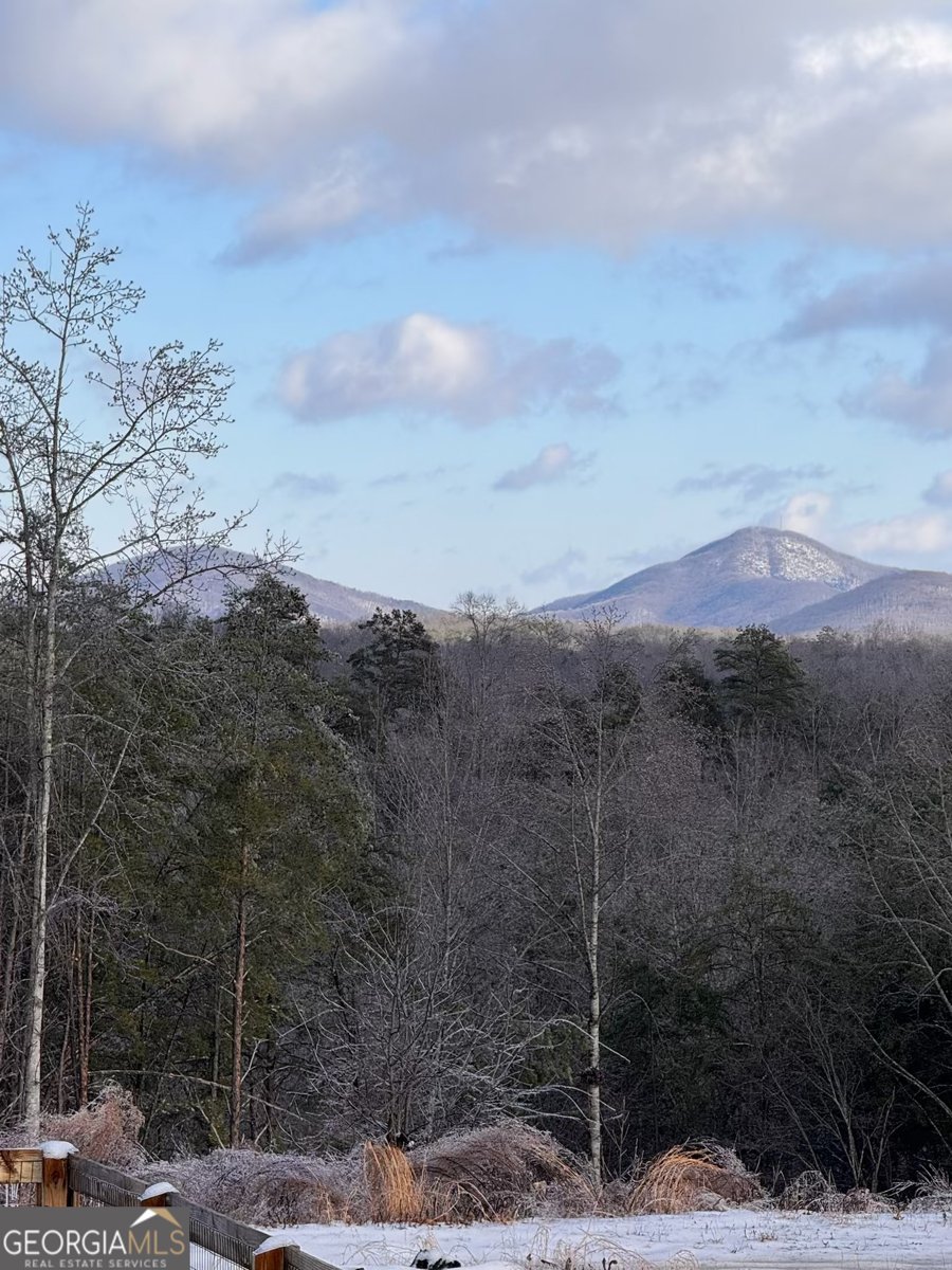 437 Crabapple Road Dahlonega - 36