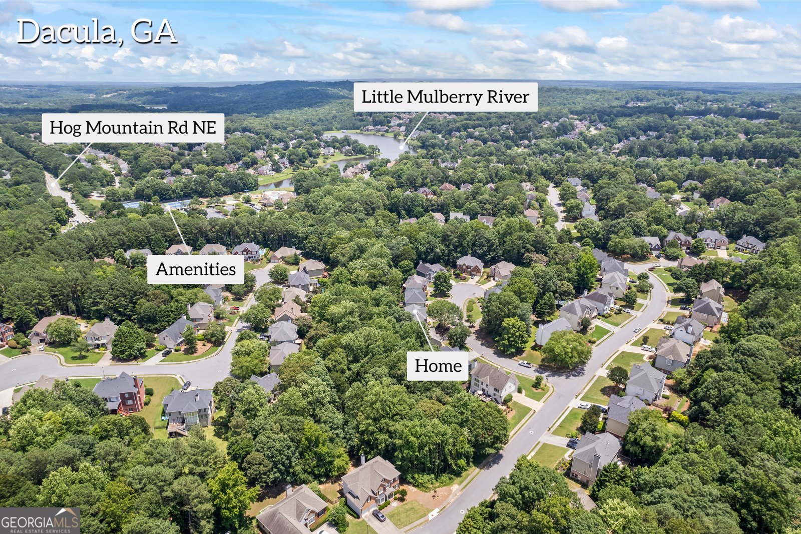 1547 Grove Arbor Terrace Dacula - 12