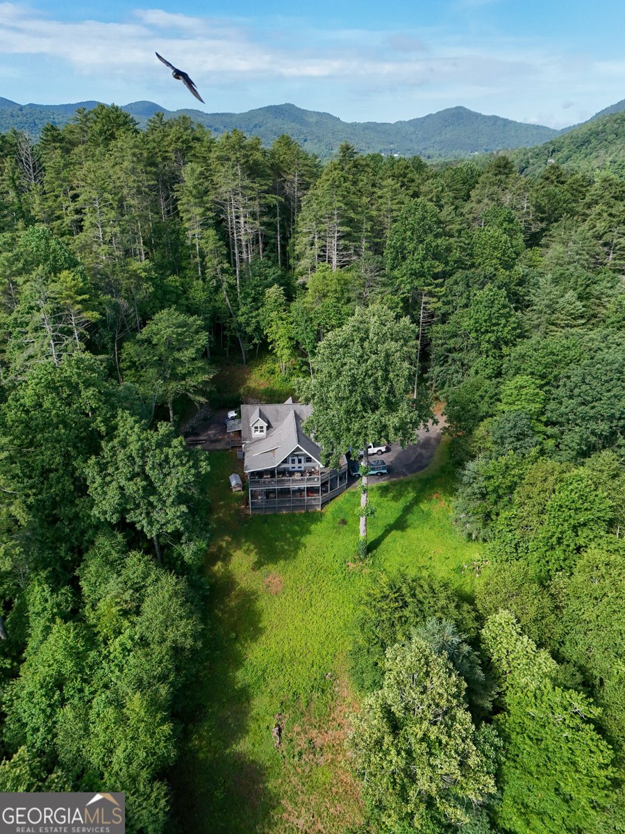 1205 John Beck Dockins Road Rabun Gap - 6