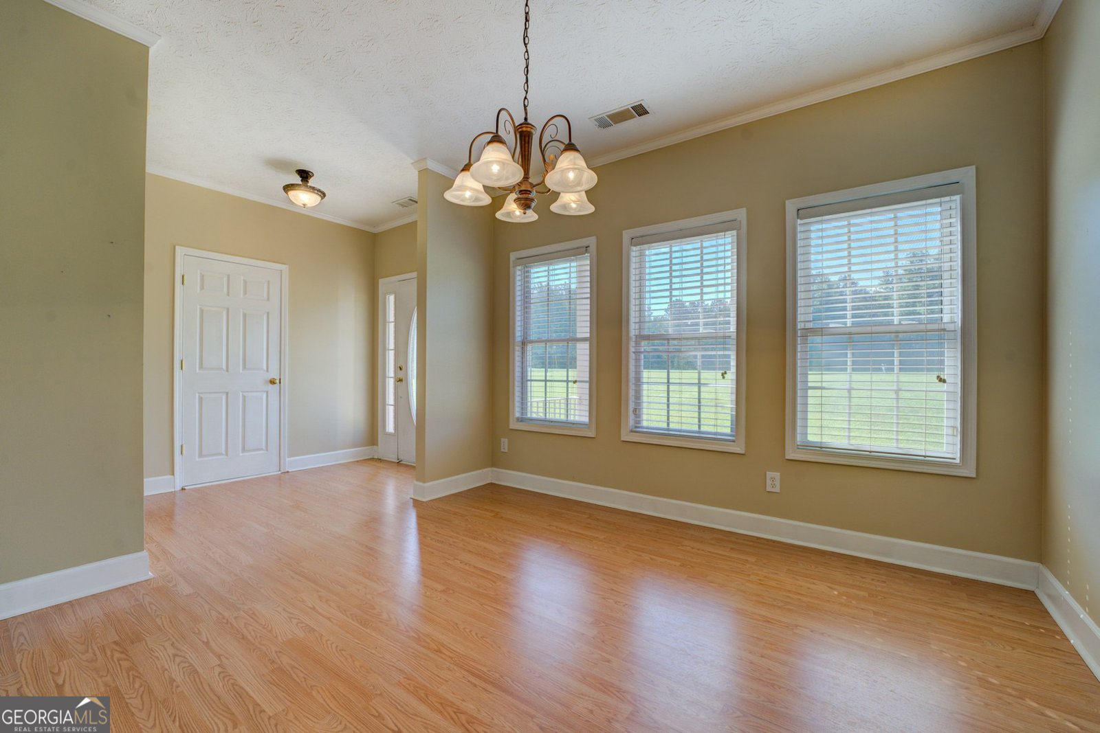 172 Lakeview Drive Newborn - 17
