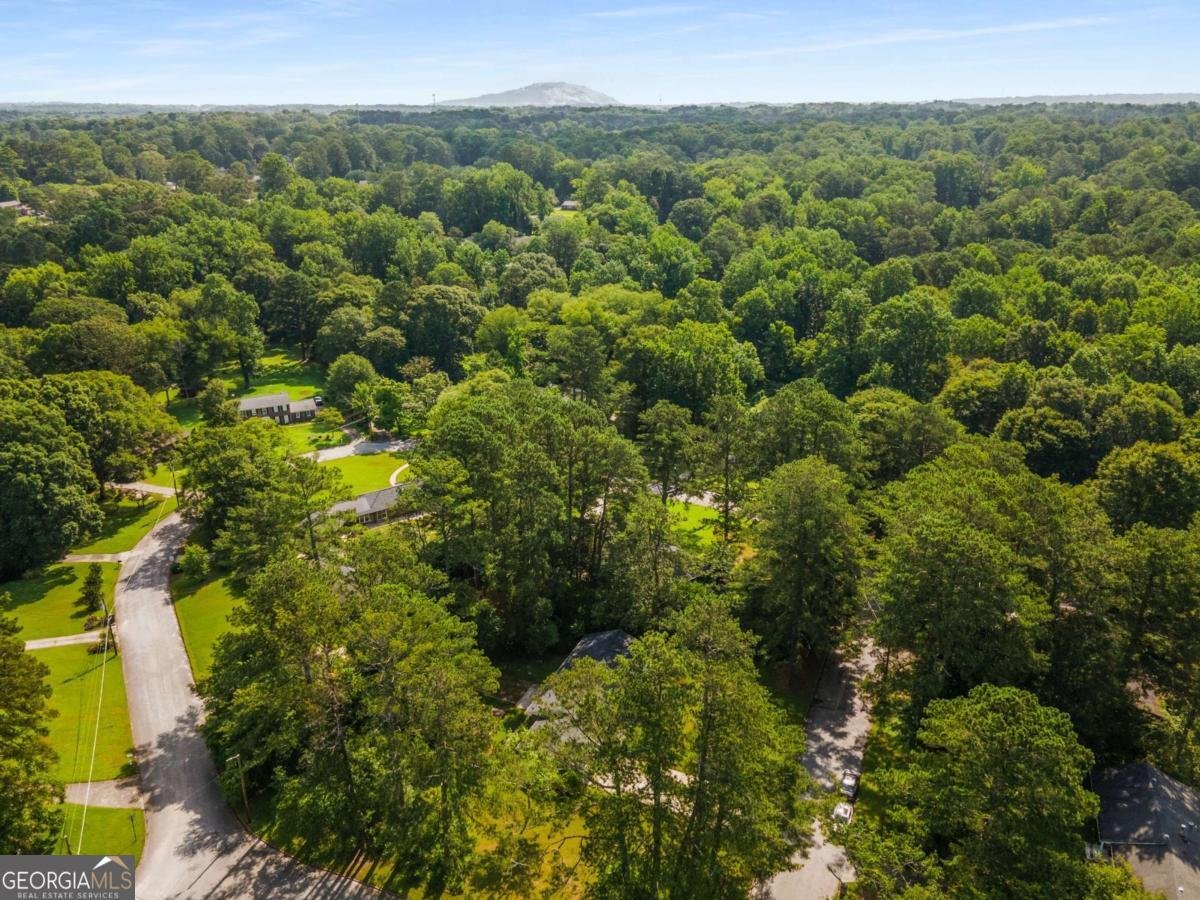 4149 Indian Lake Circle Stone Mountain - 8