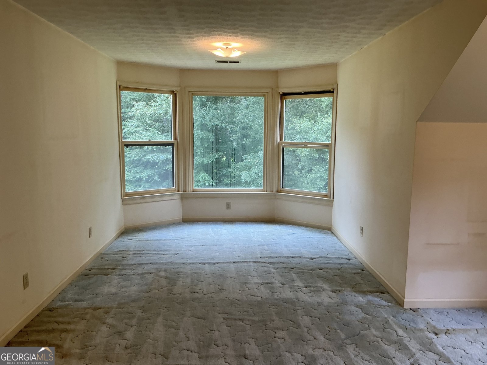 807 Oak Bridge Lane Fayetteville - 23
