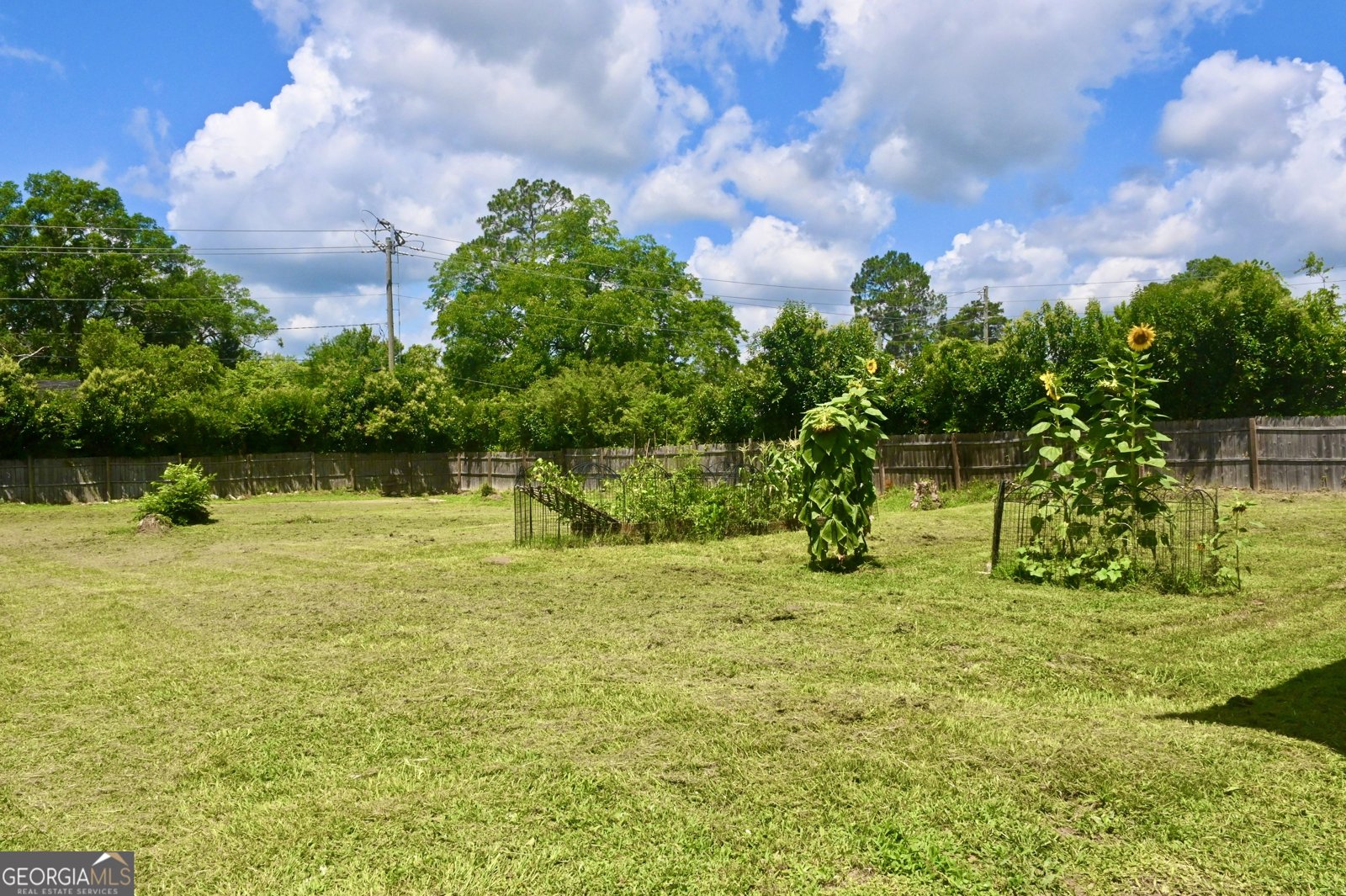 5321 Oak Street Eastman - 3
