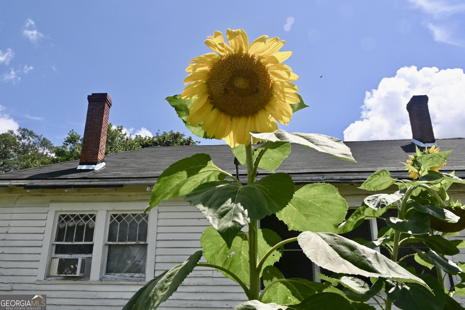 5321 Oak Street Eastman - 7