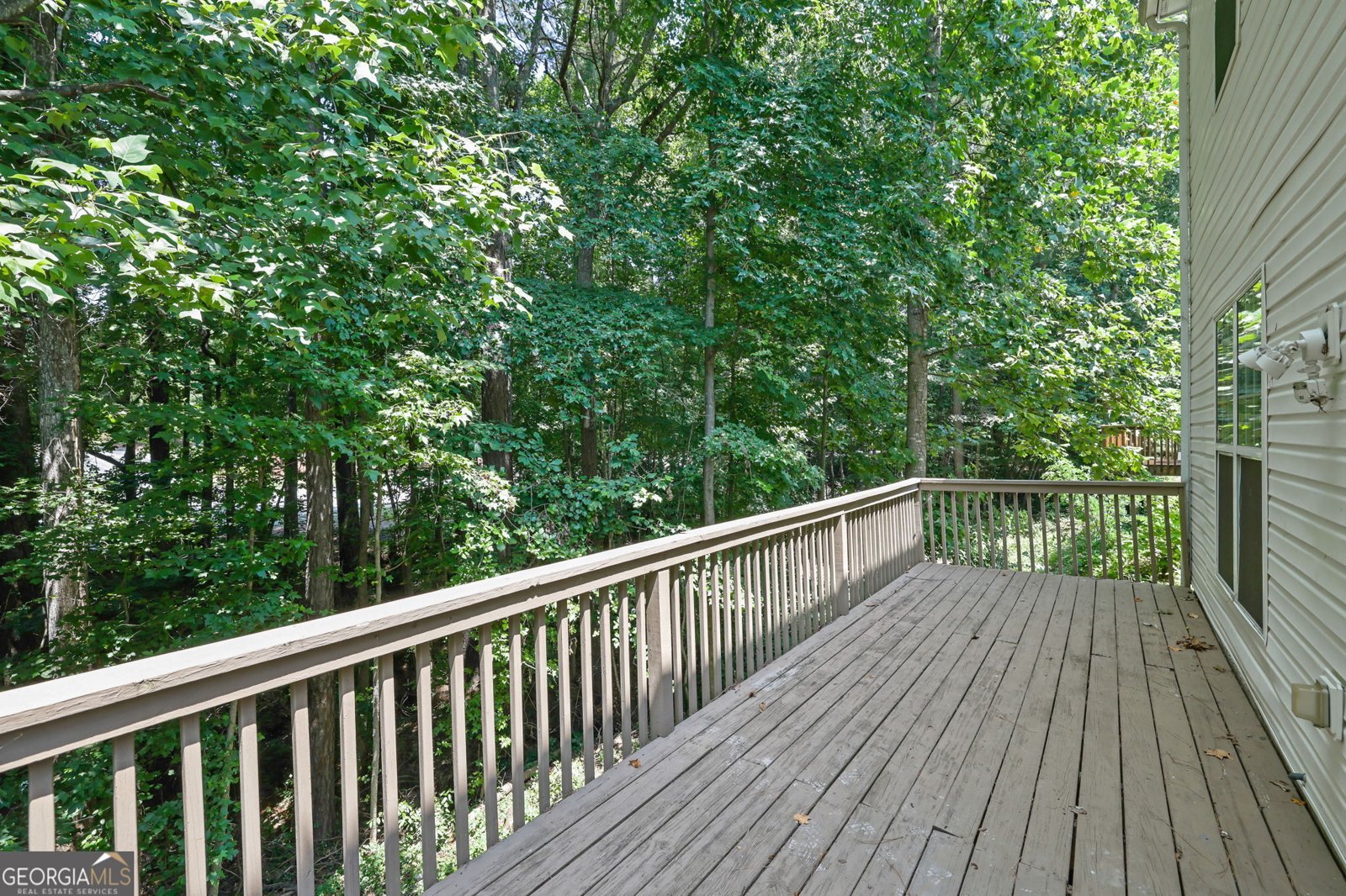 2894 Regent Walk Drive Duluth - 33