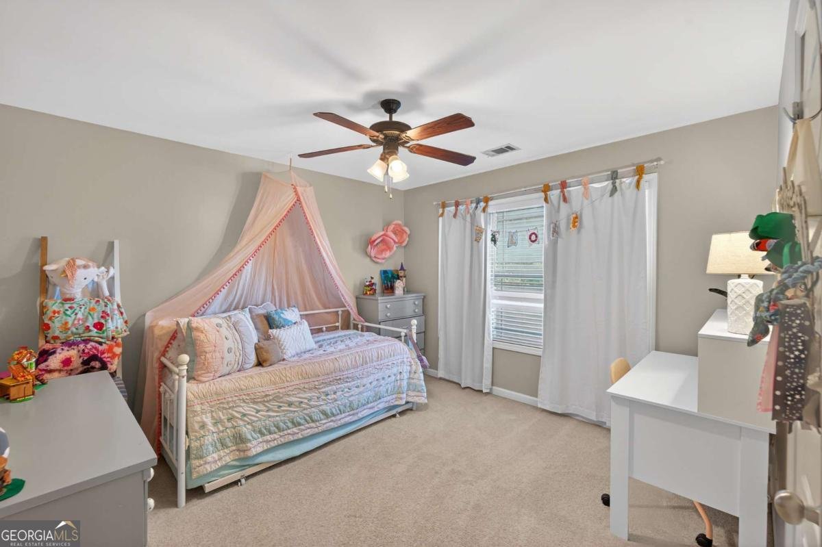 43 Emily Lane Bogart - 18