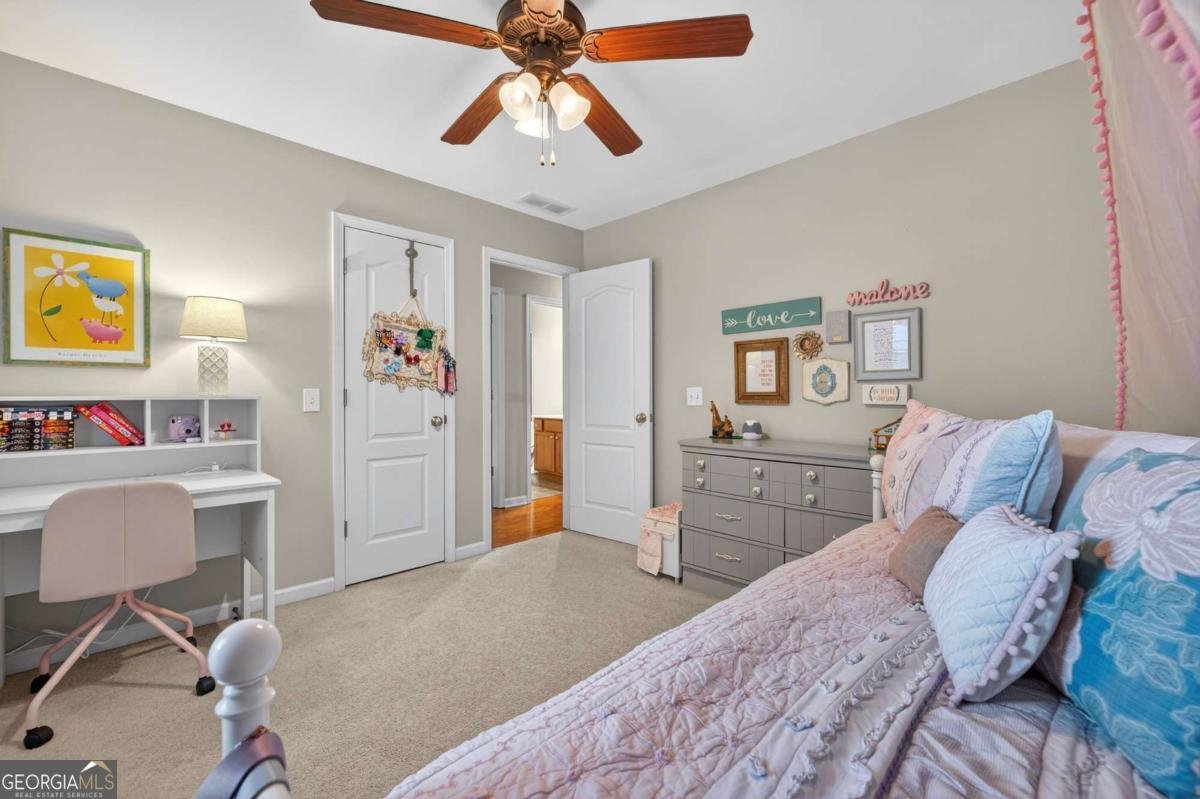 43 Emily Lane Bogart - 19
