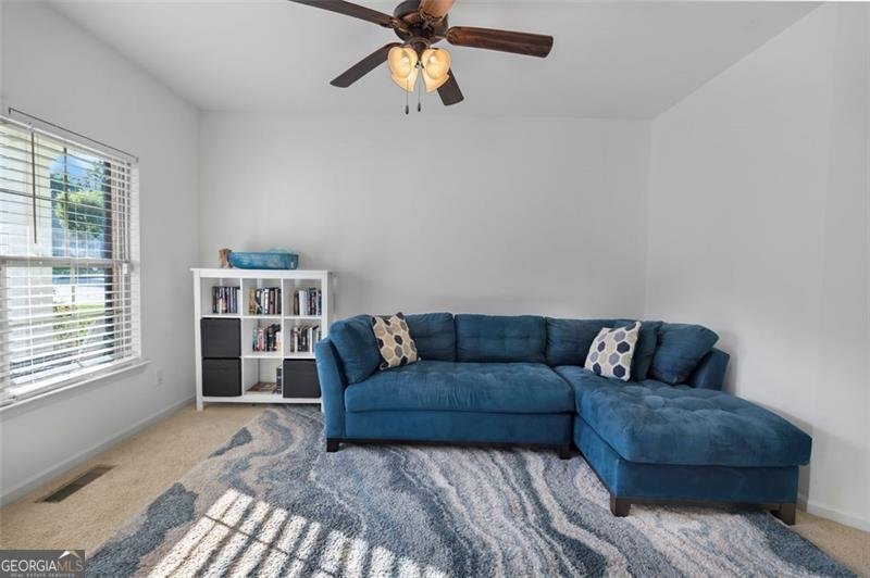 109 HALE VIEW Circle Canton - 8