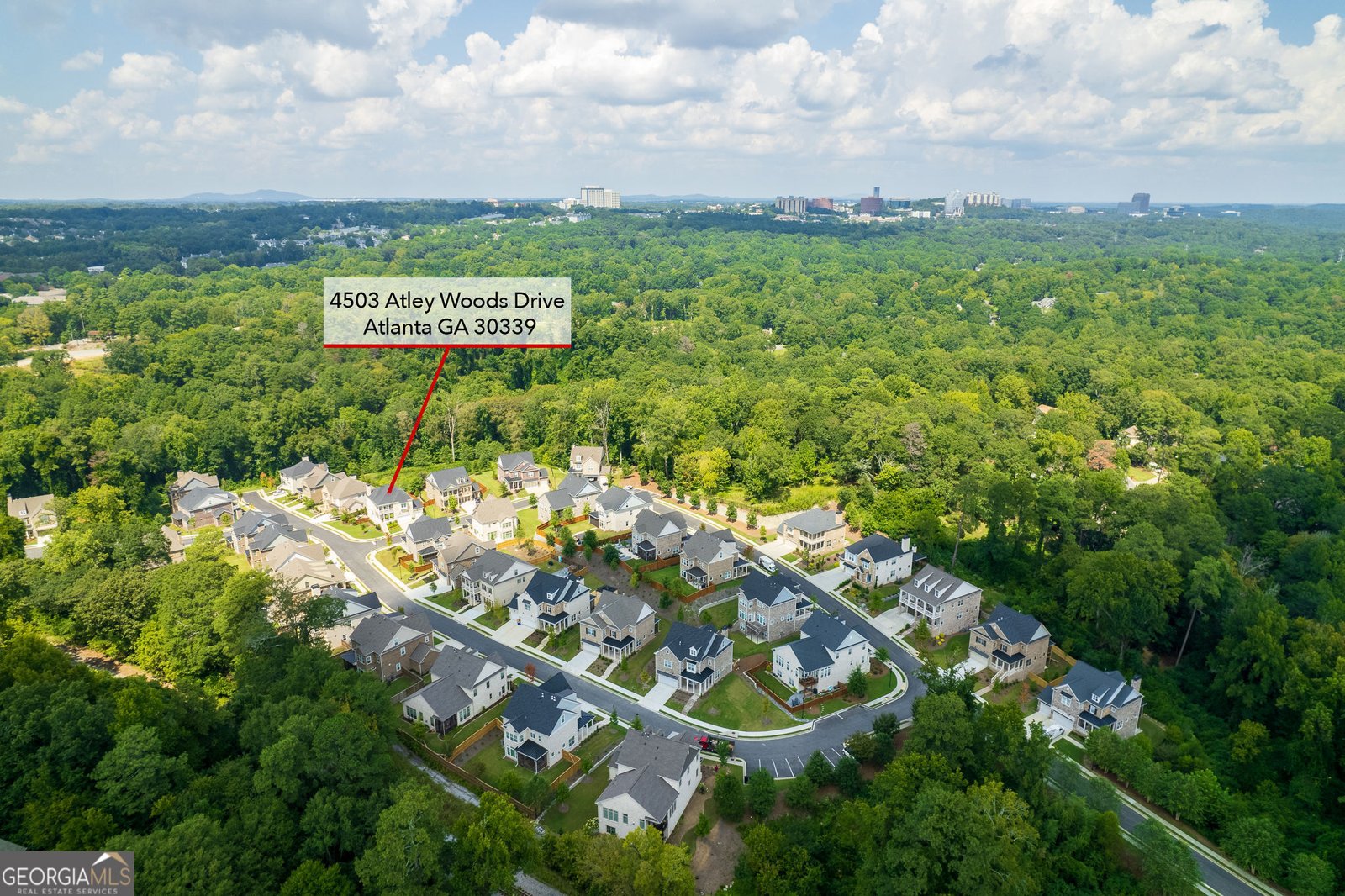 4503 Atley Woods Drive Atlanta - 75