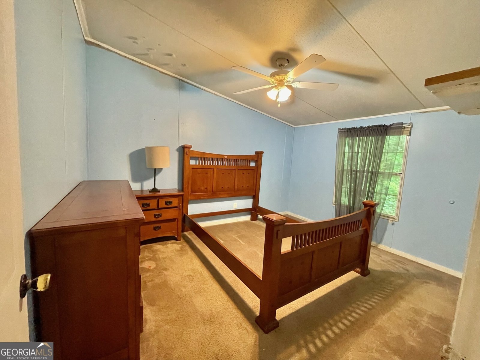 906 Billy Watts Cove Road Tiger - 19
