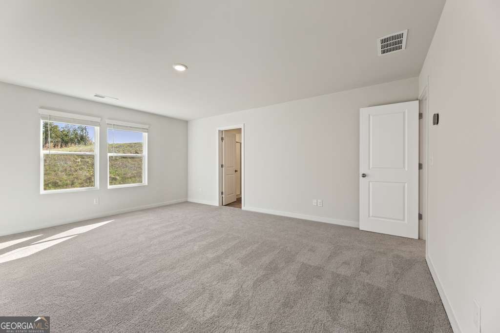 5304 Carodel Farm Way - Lot 55 Flowery Branch - 21