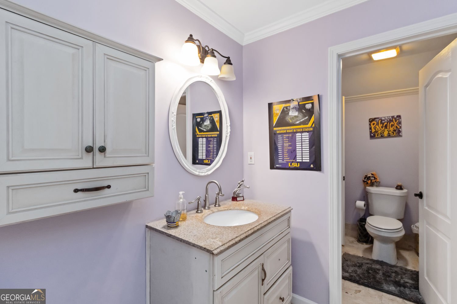 3243 Chipping Wood Court Court Alpharetta - 30