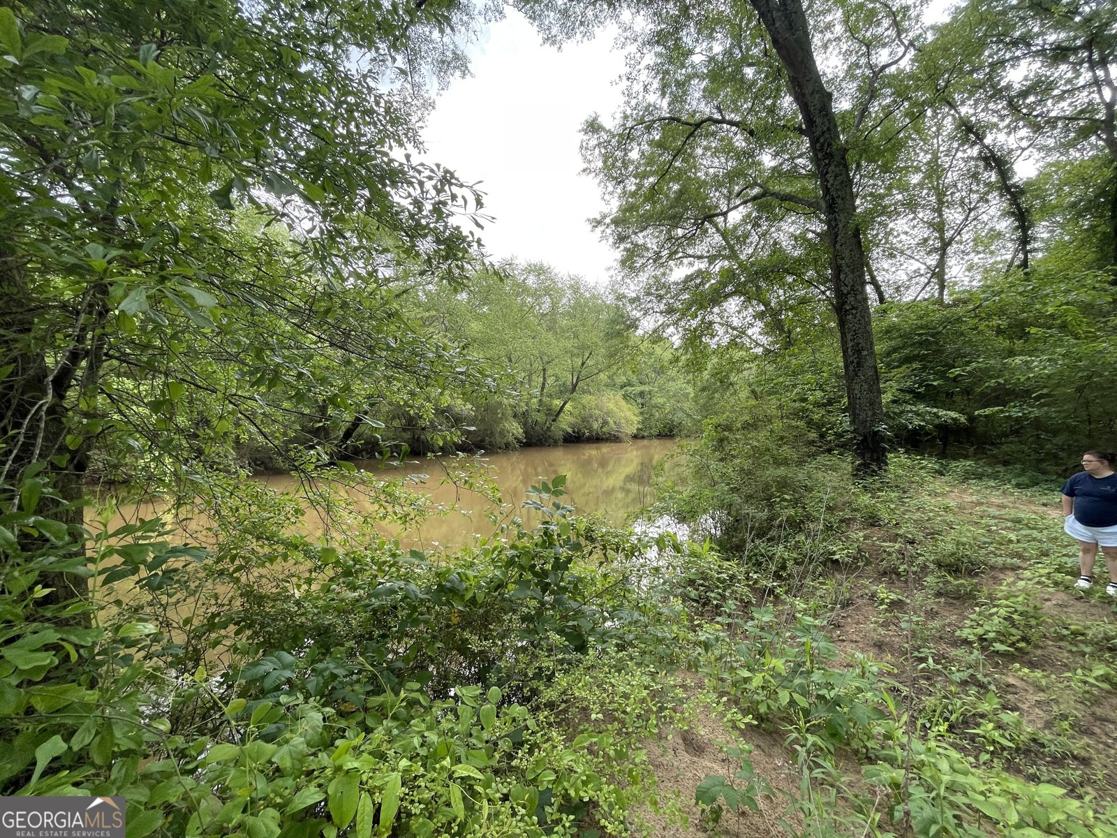1791 Little Fawn Trail Conyers - 10