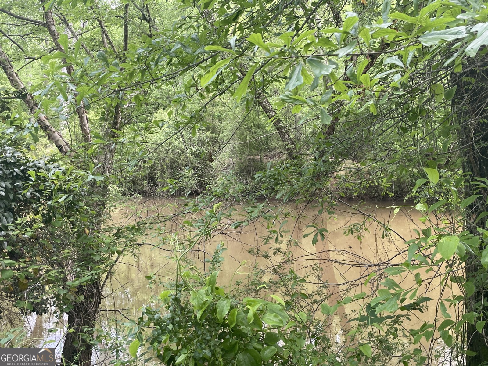 1791 Little Fawn Trail Conyers - 11