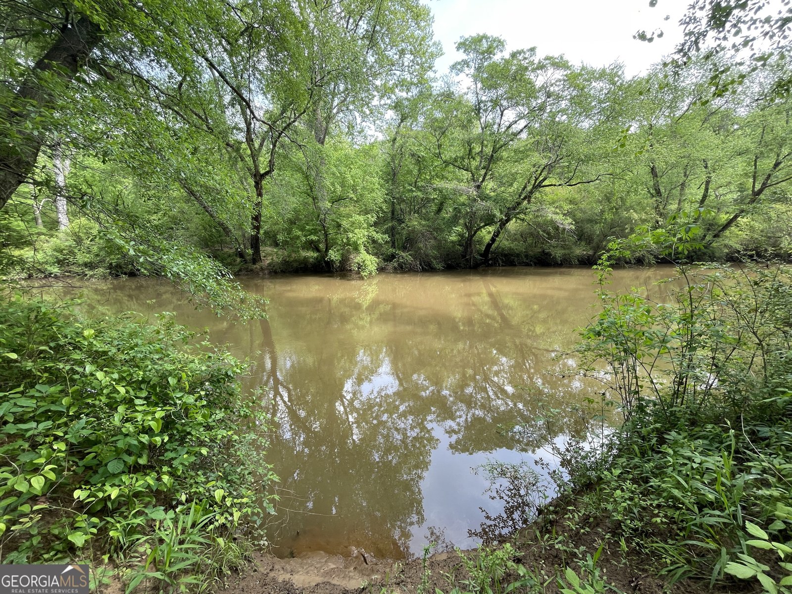 1791 Little Fawn Trail Conyers - 9