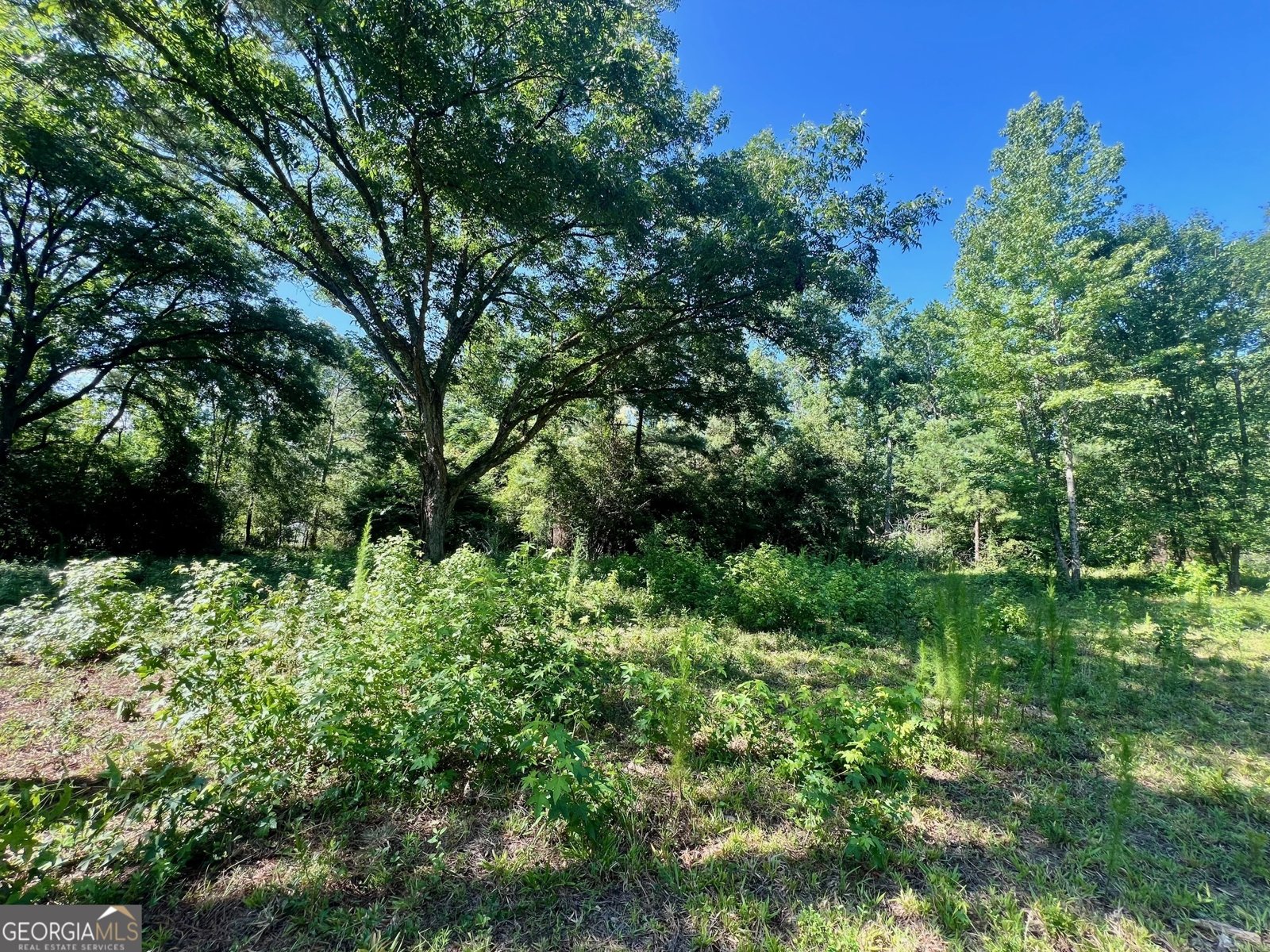 1282 McCarty Street Sandersville - 31