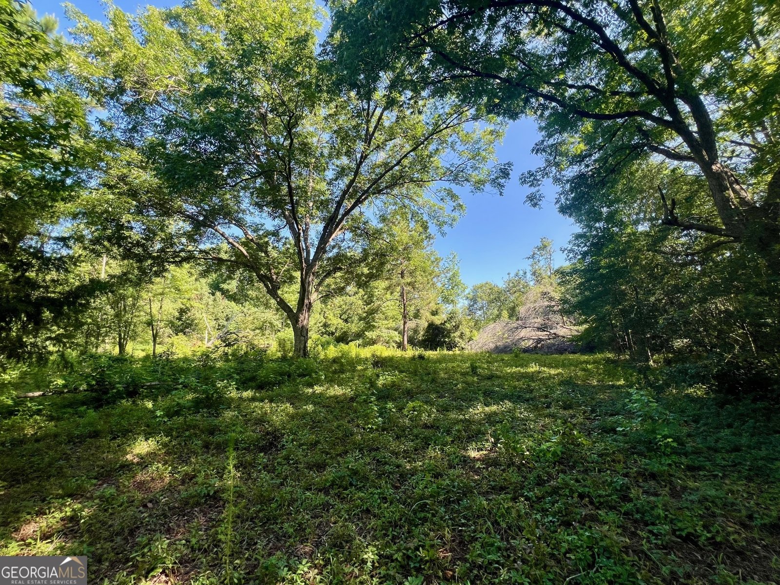 1282 McCarty Street Sandersville - 34