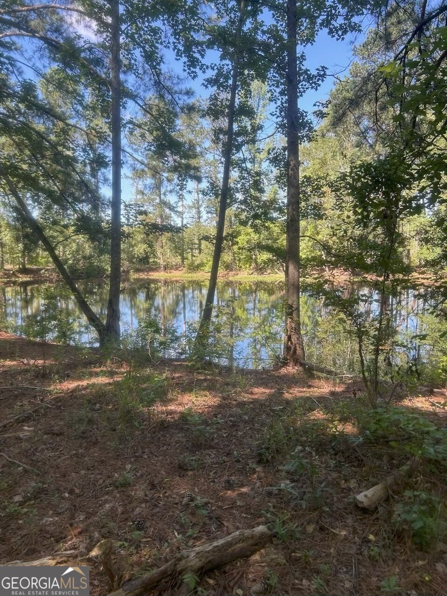 1282 McCarty Street Sandersville - 35
