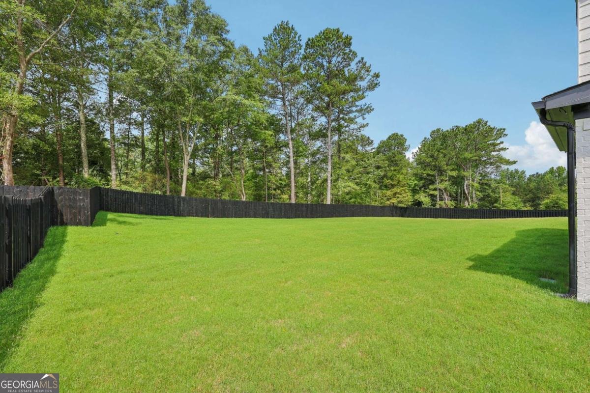 3205 Bold Springs Road Dacula - 52