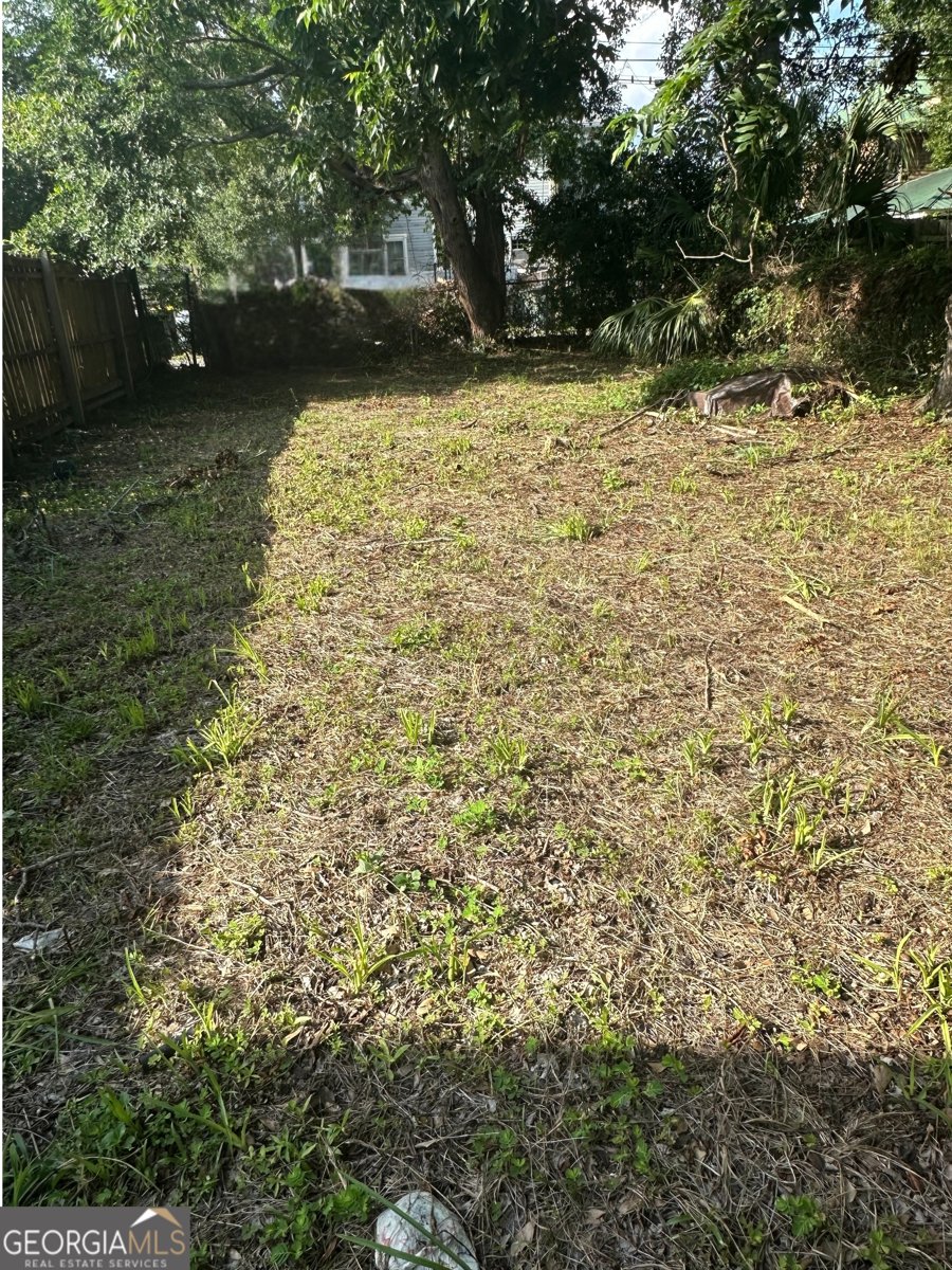 712 Anderson Street Savannah - 5