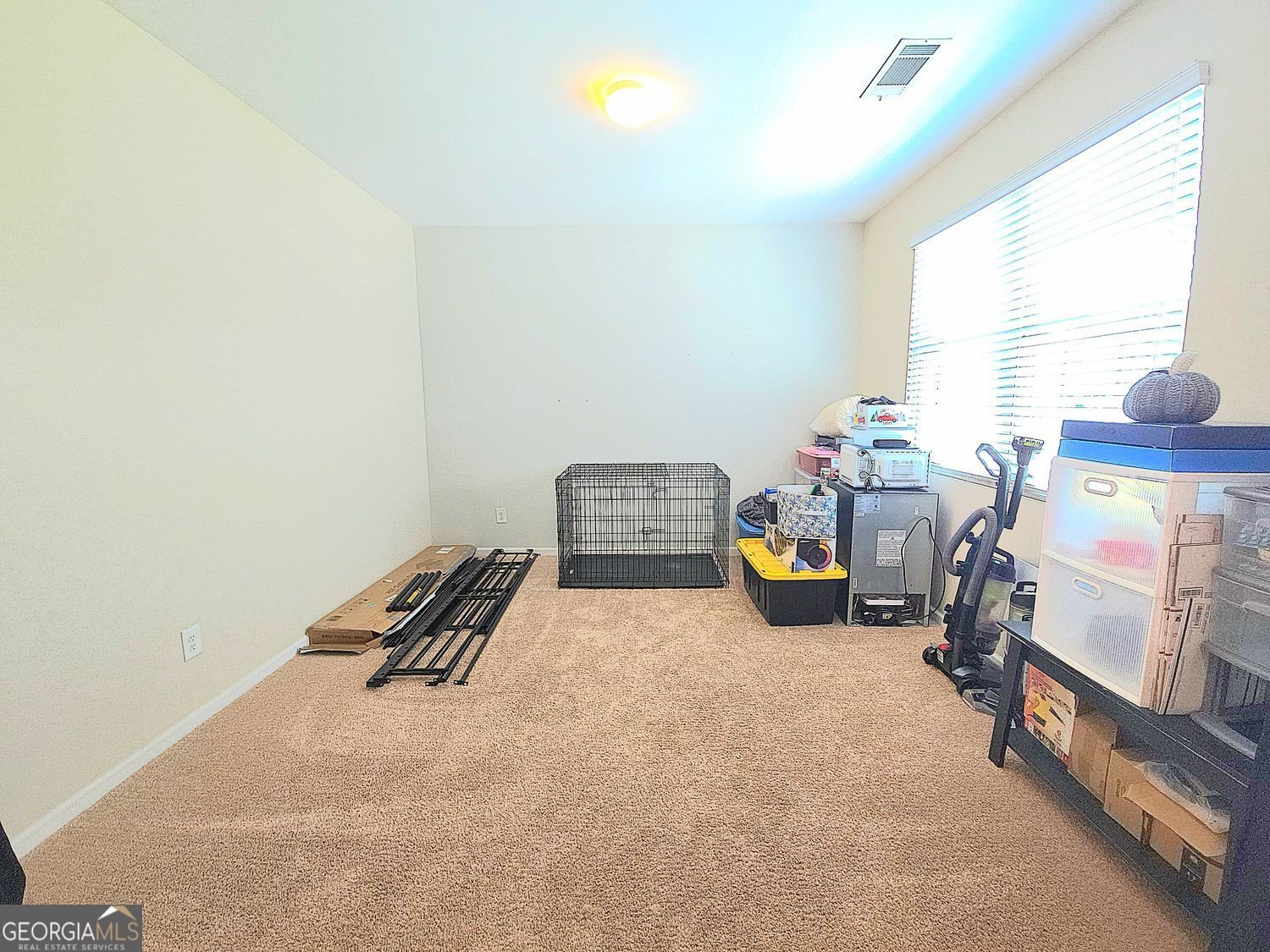 171 Shaker Hollow Drive Drive McDonough - 20