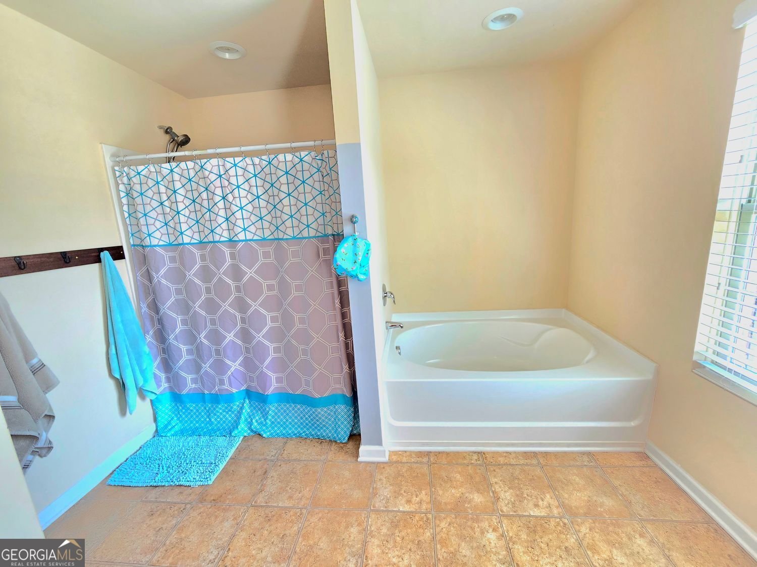171 Shaker Hollow Drive Drive McDonough - 68