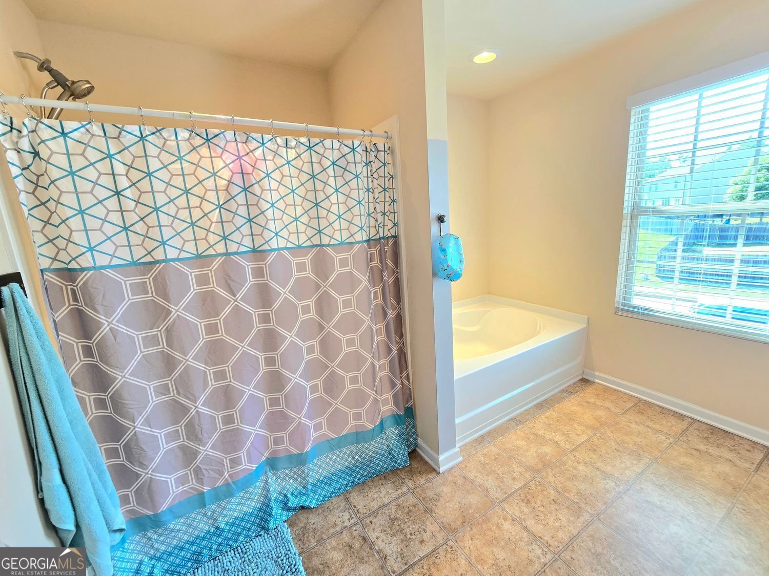 171 Shaker Hollow Drive Drive McDonough - 72