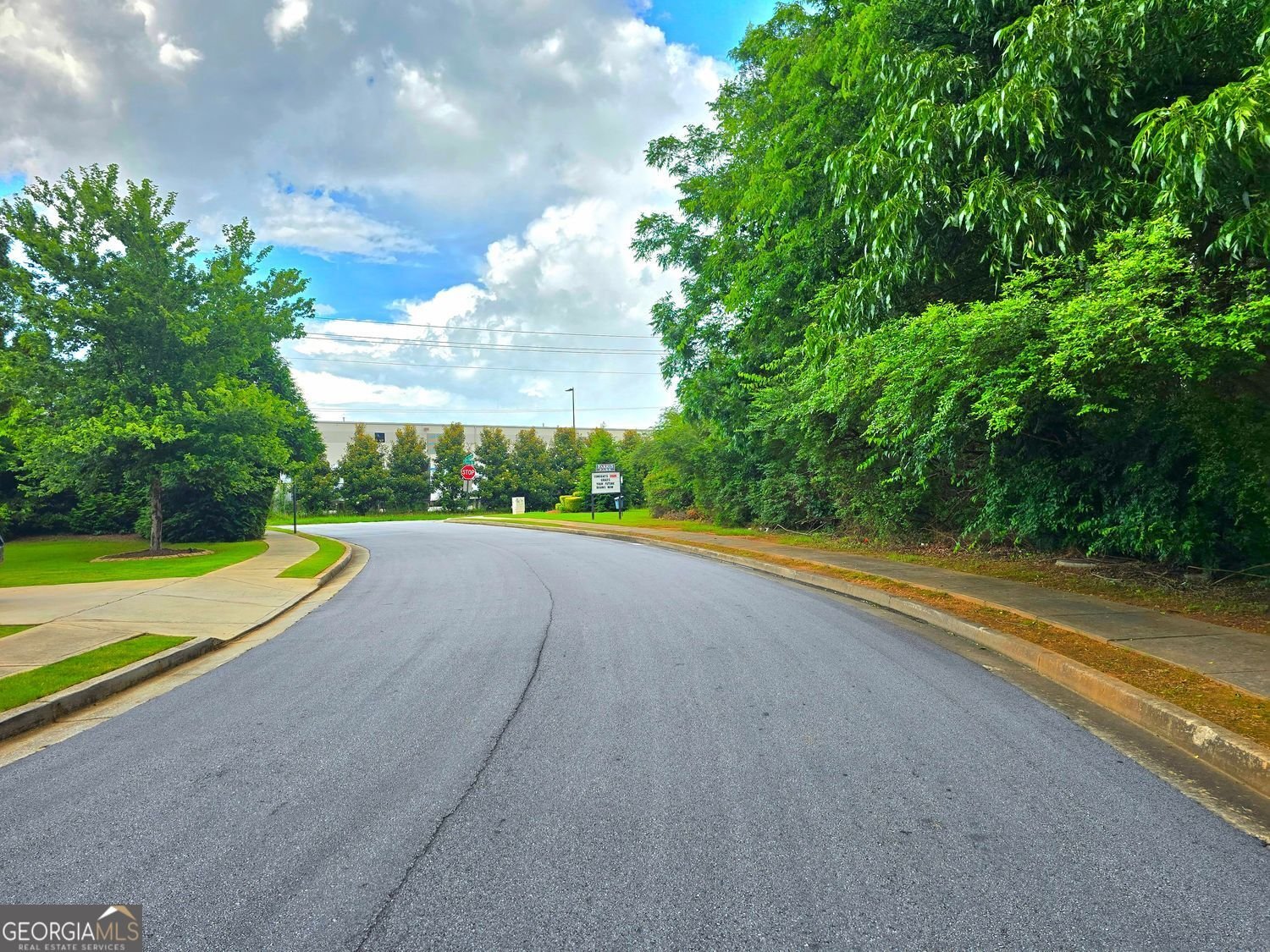 171 Shaker Hollow Drive Drive McDonough - 81